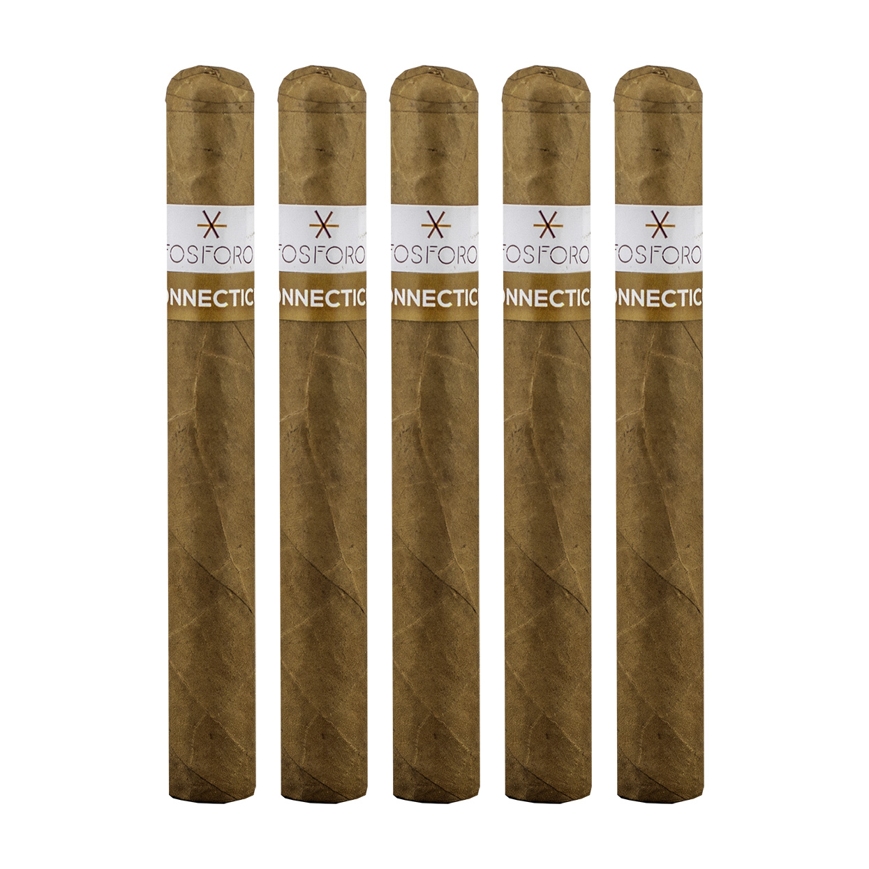 Fosforo Connecticut Corona Gorda Cigar - 5 Pack
